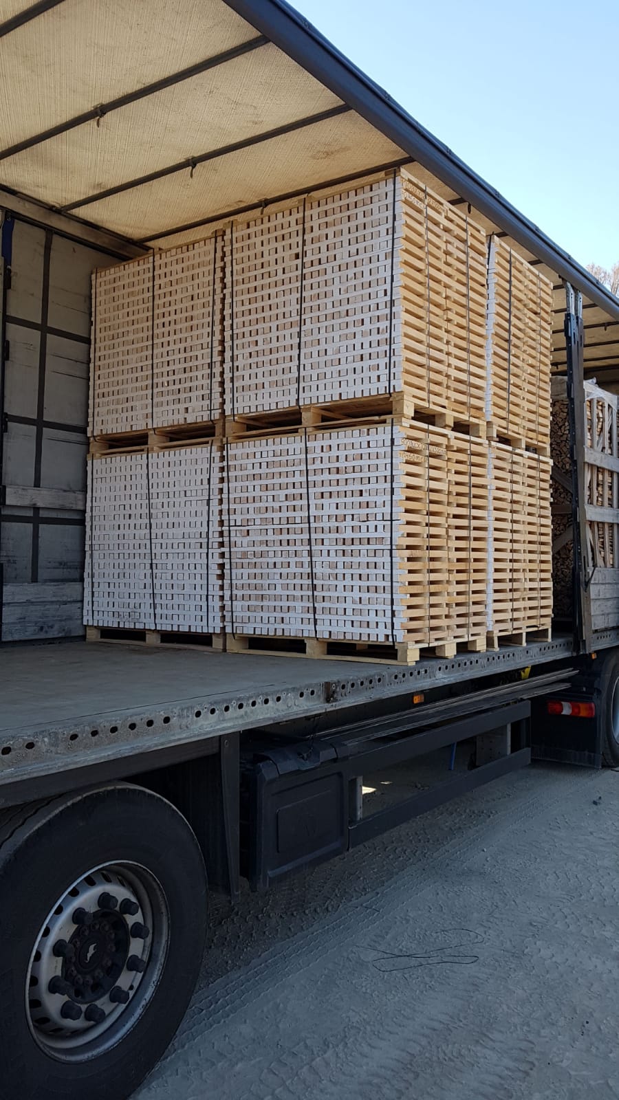 LAZAROI COMPANY SRL