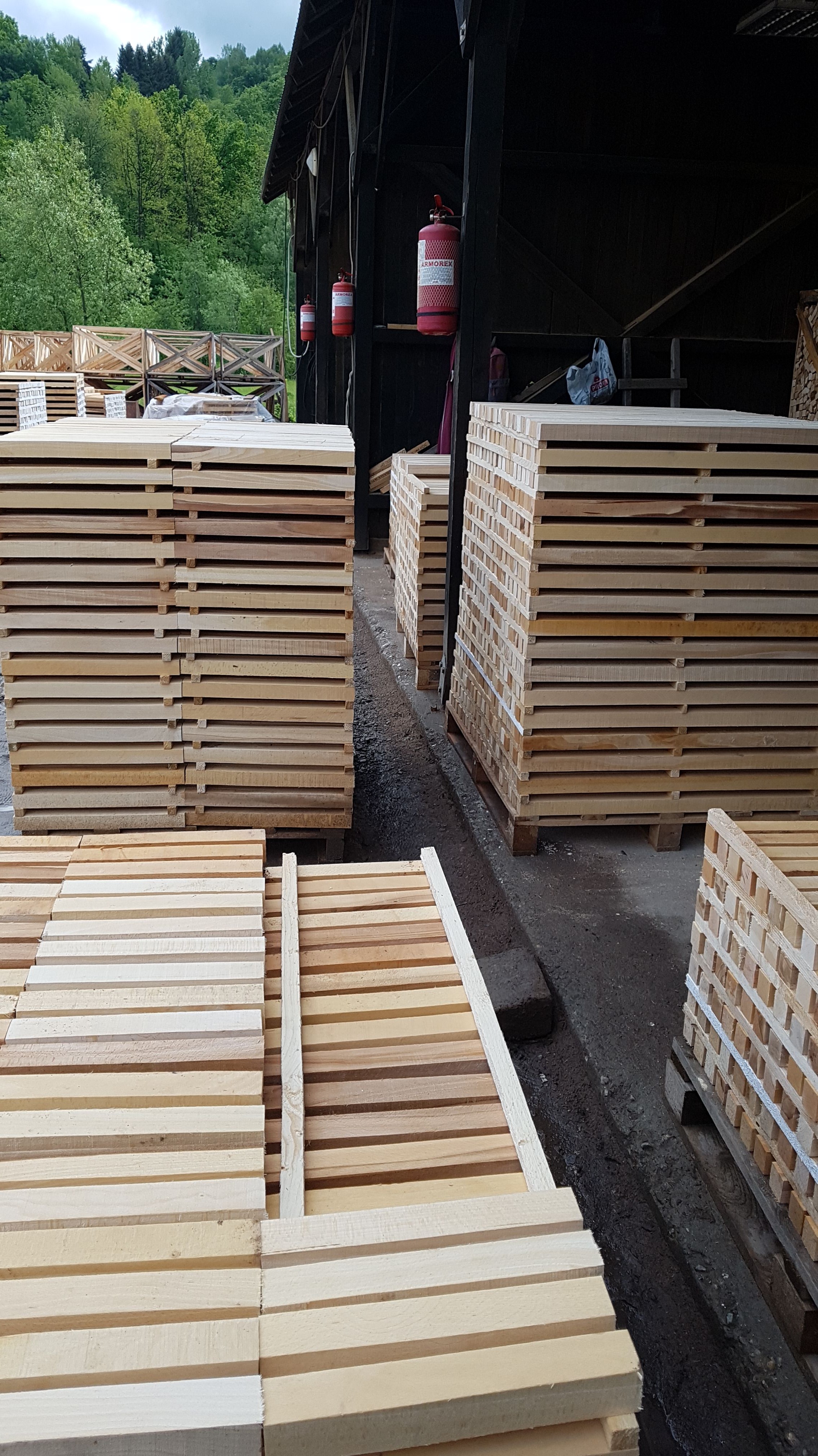 LAZAROI COMPANY SRL