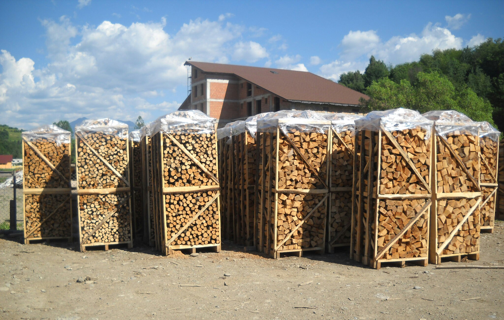 LAZAROI COMPANY SRL