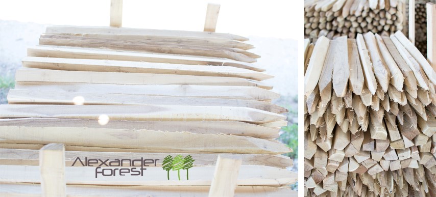 ALEXANDER FOREST SRL