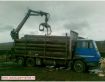 vand camion cu macara pentru busteni