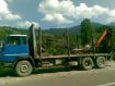 camion cu macara transport busteni