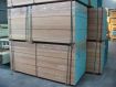 Dark Red Meranti mm. 72x86