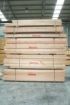 Stejar rosu mm. 72x86