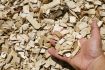 Wood Chips