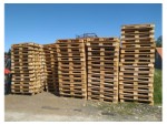 Europaleti 1200 x 800 x 145 mm