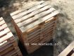 Palet 800x1200 - 2